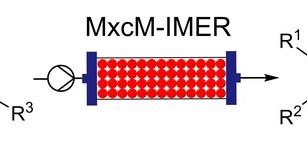 Immobilization of the Amidohydrolase MxcM