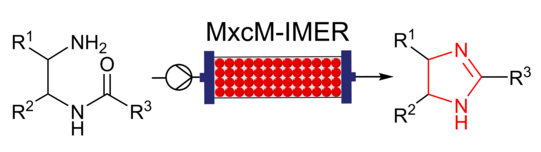 Research Topic enzymatic biotransformation and enzyme reactors MxcM-IMER