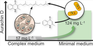 Glycerol-mediated improvement of heterologous aurachin D production in E. coli