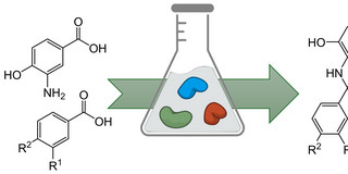 Eine Bildhafte Darstellung eines Reaktionsmechanismus von verschiedenen Strukturformeln zur Produktion von Closoxazole