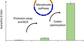 Biocatalytic production of the antibiotic aurachin D in E.Coli
