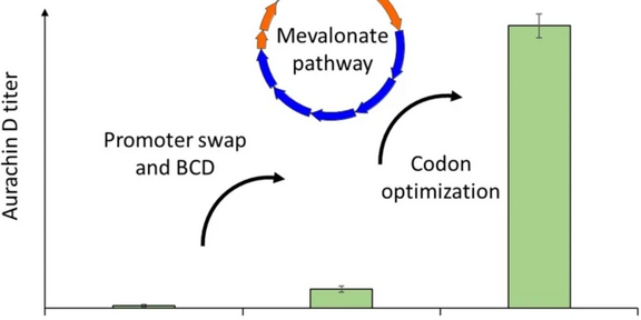 Biocatalytic production of the antibiotic aurachin D in E.Coli