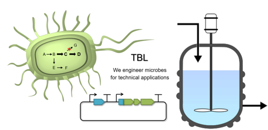 Research overview