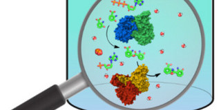 Reaction Engineering of In Vitro Natural Product Biosynthesis: Challenges and Strategies