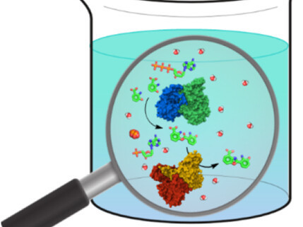 Reaction Engineering of In Vitro Natural Product Biosynthesis: Challenges and Strategies