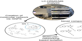 Genome Mining for Bioactive Small Molecules and Enzymes