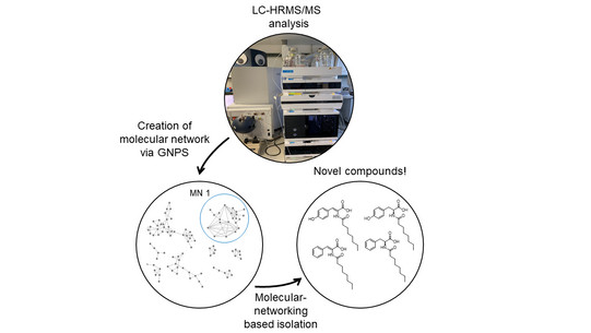 Genome Mining for Bioactive Small Molecules and Enzymes