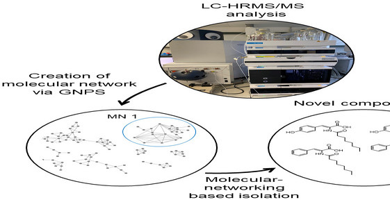 Genome Mining for Bioactive Small Molecules and Enzymes