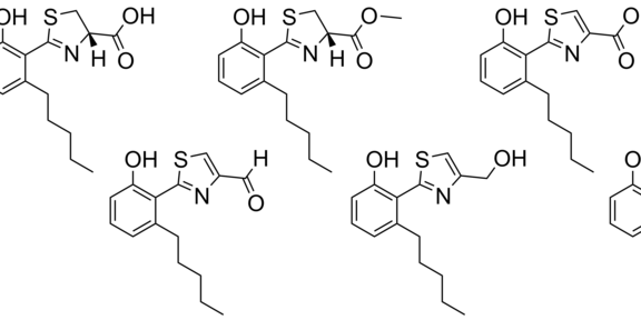 Intermediates shunt products of massiliachelin biosynthesis in Massilia sp. Nr 4-1
