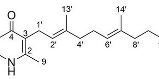 Generation of Aurachin Derivatives by Whole-Cell Biotransformation and Evaluation of their Antiprotozoal Properties