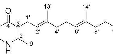 Generation of Aurachin Derivatives by Whole-Cell Biotransformation and Evaluation of their Antiprotozoal Properties